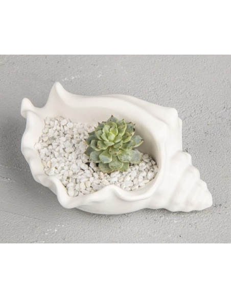 Rayher Silikoneform konkylie 36188