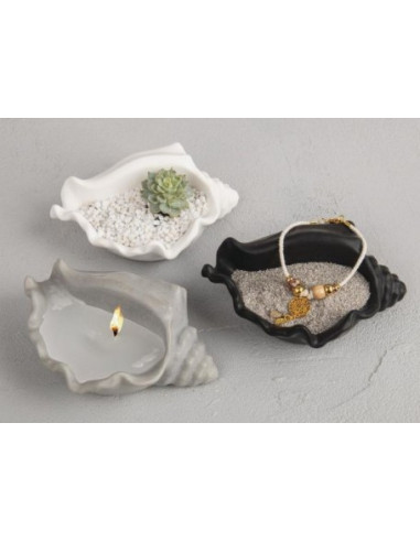 Rayher Silikoneform konkylie 36188