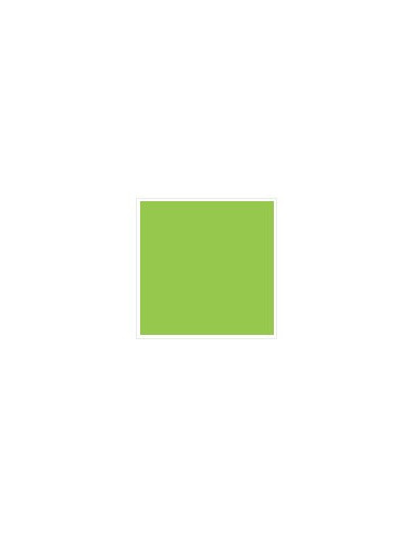 Cadence Style matt fabric paint 645 Pistaicho Green