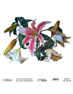 Brug Cadence rispapir til dine decoupage projekter