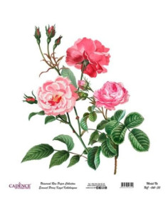 Prøv Cadence rispapir til dine decoupage dekorationer