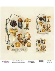 Alle designs er specielt forberedt til Cadence. I A3 og A4 størrelser.