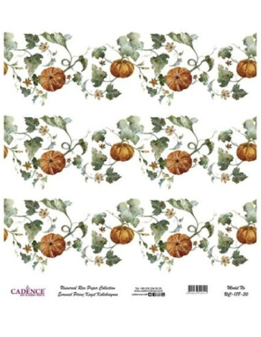 Cadence ricepaper bruges til decoupage og dekoration