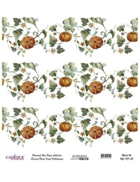 Cadence ricepaper bruges til decoupage og dekoration