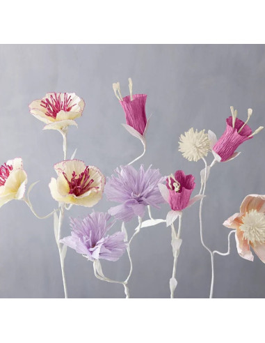 Den crepede overflade giver et naturligt udtryk til smukke crepeblomst