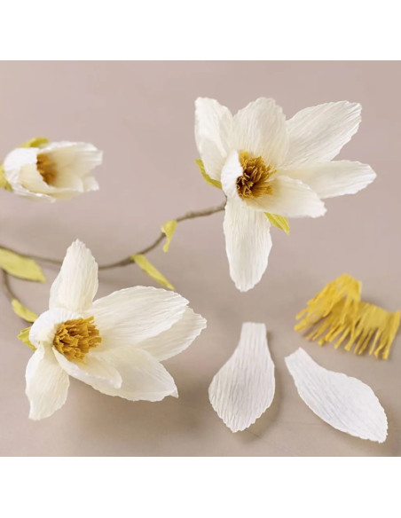 Mini startkit til crepeblomster