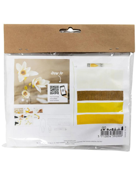 Mini startkit til crepeblomster