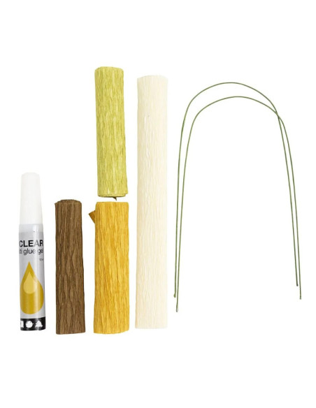 Mini startkit til crepeblomster