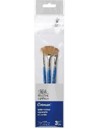 Cotman-penslerne fra Winsor & Newton er designet specielt til akvarel