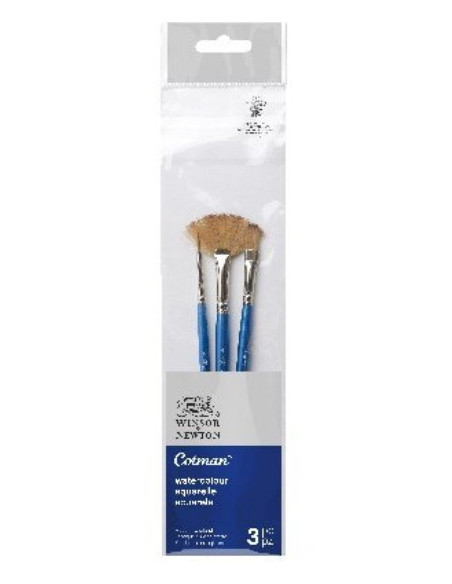 Cotman-penslerne fra Winsor & Newton er designet specielt til akvarel