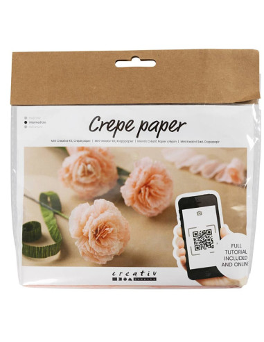 Lav dine egne smukke crepeblomster med dette mini kit.