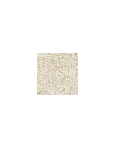 Dora metallic paint 159 Silver gold