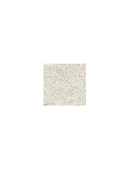 Dora metallic paint 137 Platinium