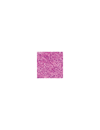 Dora metallic paint 155 Bright Fuchsia