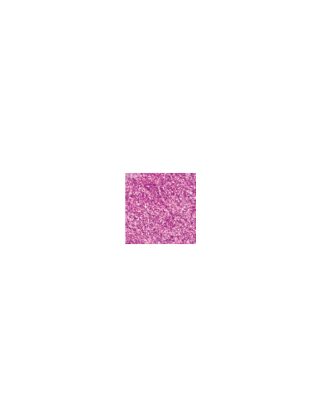 Dora metallic paint 155 Bright Fuchsia