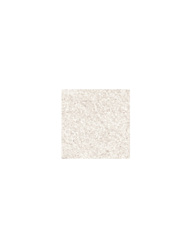Dora metallic paint 172 Champange 50 ml