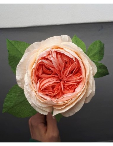 Smuk peach farve til de smukkeste crepepapirblomster