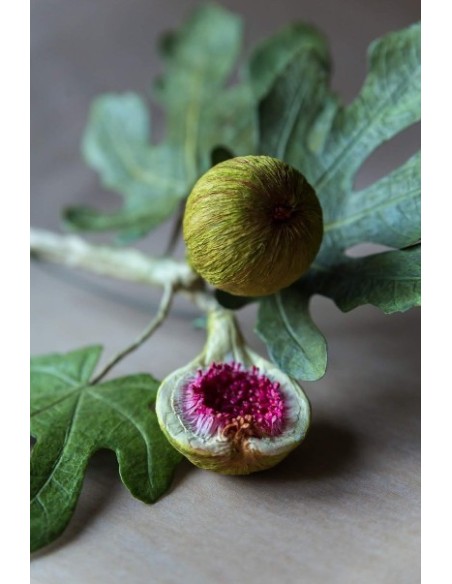 Cartotecnica Rossi Crepepapir 90 g crepepapir til blomster