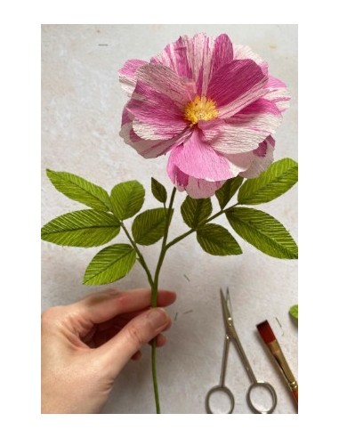 Crepepapir 180g – professionel  Kraftigt italiensk kvalitet