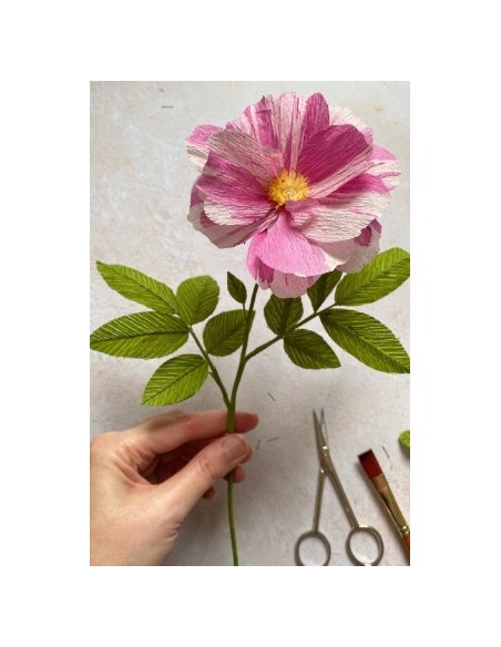 Crepepapir 180g – professionel  Kraftigt italiensk kvalitet