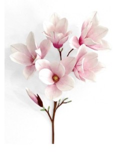 Italiensk crepepapir i smukke fraver i kvalitet  Kraftigt 2