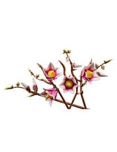 Smuk magnolia gren i Lego . Et rigtig hygge projekt 2