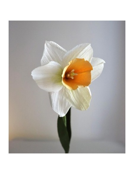 Cartotecnica Rossi Italiensk Crepepapir 180 g NR 17A1 CREAM