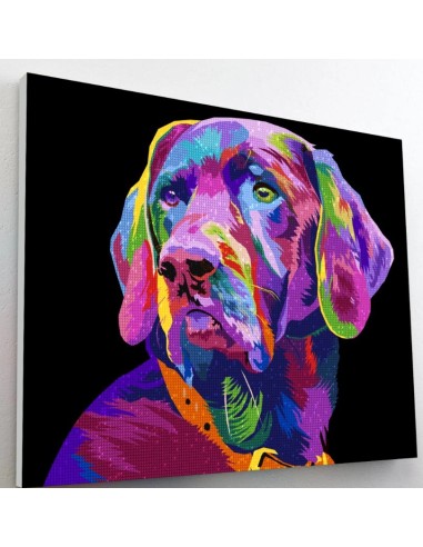 Skab et smukt kunstværk med dette flotte 5D Diamond Painting kit