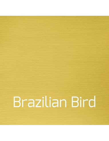 Autentico Versante Brazilian Bird