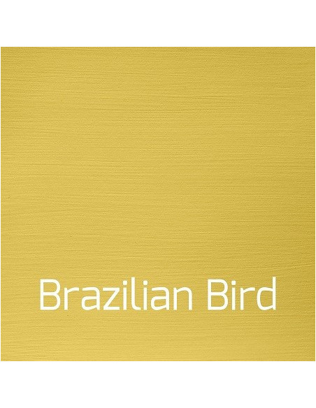 Autentico Versante Brazilian Bird