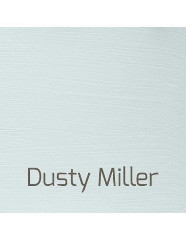 Autentico Versante Dusty Miller
