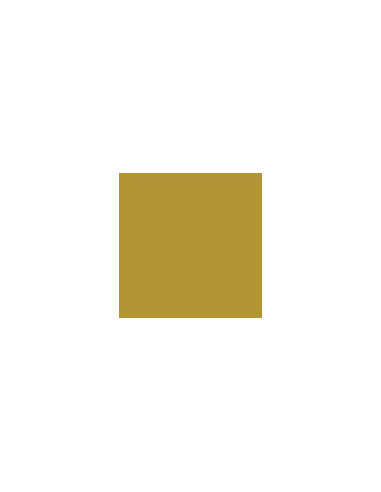 Pinty Plus Acryl spray Guld / Gold P151