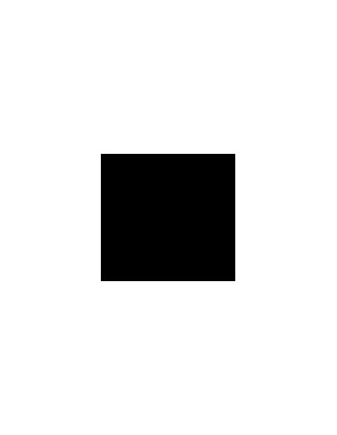 Pinty Plus Acryl spray RAL 9005 Sort mat ell blank