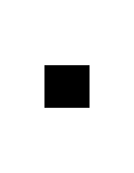 Pinty Plus Acryl spray RAL 9005 Sort mat ell blank