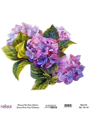 Rispapir med Hotensia 30x30 (UC-016-30)