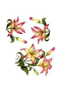 Transfer G62 Blomster 25x35 cm