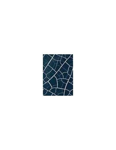 KRAKELERING LAK / CROCODILE CRACKLE 2 STEP 1013 TURQUOISE