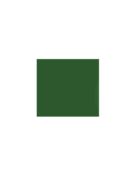 Pinty Plus Acryl spray RAL 6001 Emeral green