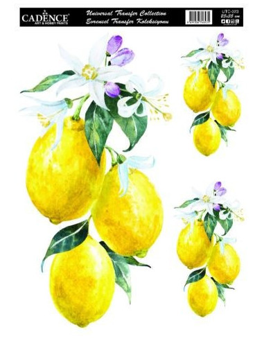 Cadence Transfer Citroner UTC 023 25x35 cm