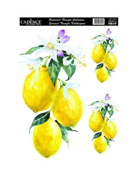 Cadence Transfer Citroner UTC 023 25x35 cm