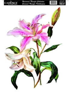 Cadence Transfer Blomster UTC 002 25x35 cm