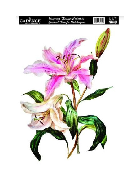 Cadence Transfer Blomster UTC 002 25x35 cm