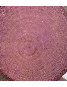 Cadence lak med farve Lilla CV08