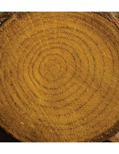 Cadence lak med farve Oak Eg CV13