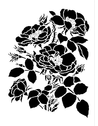 Posh Chalk Stencil Lovely Lush Posey 25x35cm F035