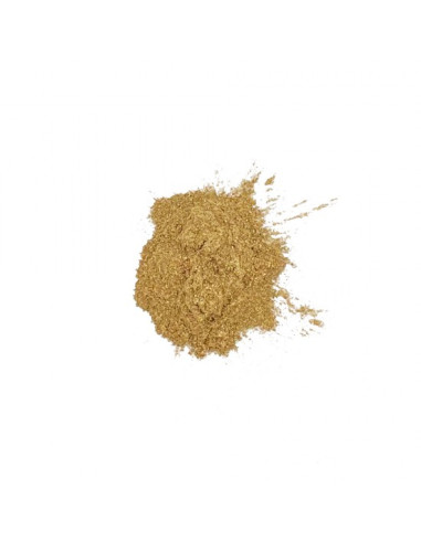 Jesmonite Metallisk pulver 25g - Pale Gold